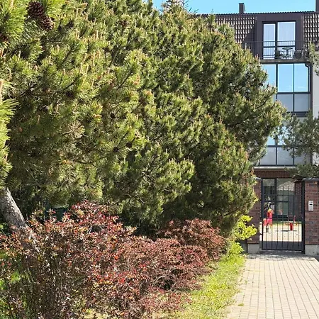 Forest Free Parking * Klaipėda
